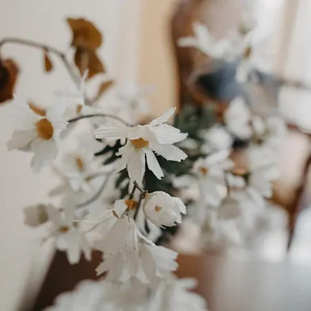 Bed & Breakfast Piazza Argento