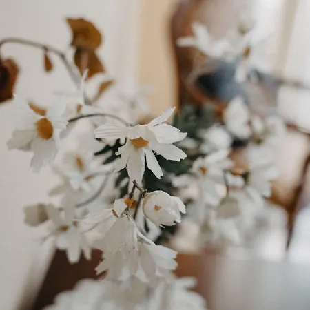 Bed & Breakfast Piazza Argento 4*