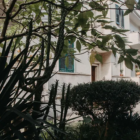 ピアッツァ アルジェント 4*