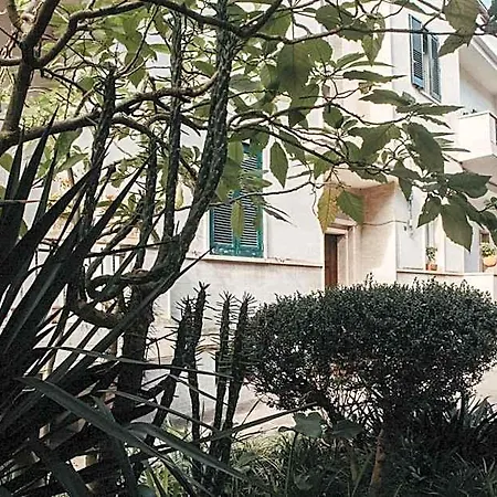 Piazza Argento 4*