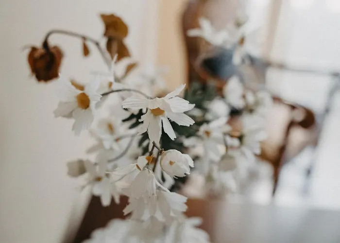 Bed & Breakfast Piazza Argento