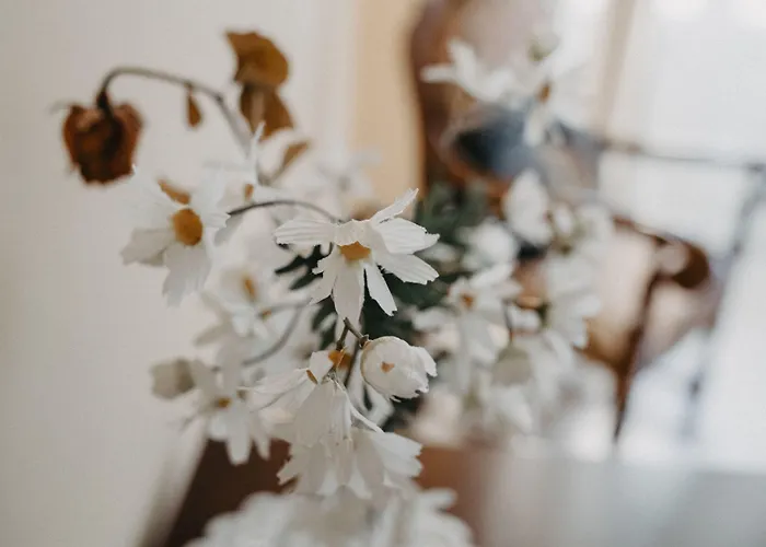 Bed & Breakfast Piazza Argento 4*